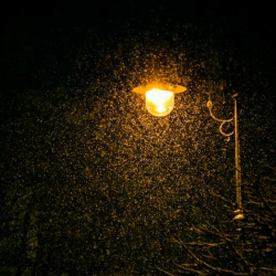 Видео - В Таласе сегодня ночью выпал снег