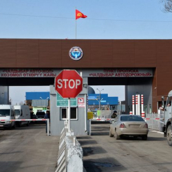 В Кыргызстан незаконно пытались завезти 111 голов крупного рогатого скота