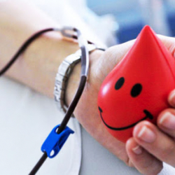 Бүгүн “Ден-соолук” паркында “Кан донорлорунун улуттук күнүнө” карата кан тапшыруу акциясы өткөрүлөт