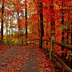 29-сентябрга карата аба ырайы тууралуу маалымат