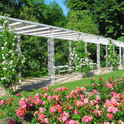 Будапешттеги бакчалардын бирине Чыңгыз Айтматовдун ысымы ыйгарылат