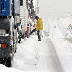 Чүй милициясы айдоочуларга кайрылды