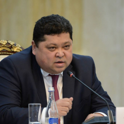 БШК: Кыргызстанда үгүт учурунда жалпы 219 мыйзам бузуу катталды