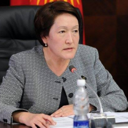 Нуржан Шайлдабекова шайлоодогу мыйзам бузуулар боюнча БШКга кайрылууга чакырды