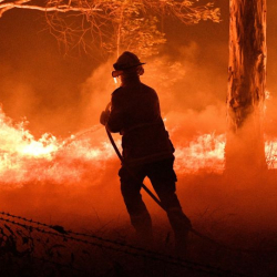 Айдаркенде 77 жаштагы киши өрттөн каза болду