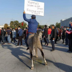 СҮРӨТ - Митингге ат менен келип аянтты булгады