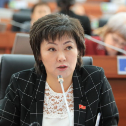 ВИДЕО - Жылдыз Мусабекова: “Папкени талашканды токтотуп, кеткиле!”