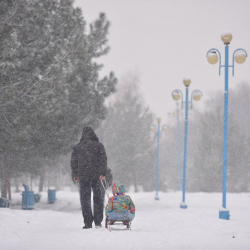 Тармактык мамлекеттик органдардын жетекчилери кышка даярдык көрүү иштерин талкуулашты