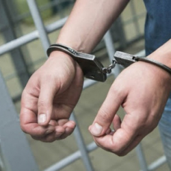 Бишкекте тоноочулукка шектелген жаран кармалды