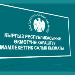Салык боюнча план сентябрь айында 1 млрд сомго ашыгы менен аткарылды