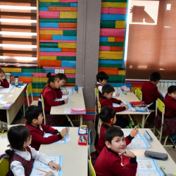 Бишкекте 1-6-класстын окуучулары биринчи чейректи онлайн режимде улантышат