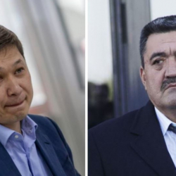 Вице-премьер-министр: 