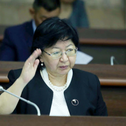 Экс-каржы министри Бактыгүл Жээнбаева финполго суракка чакырылды