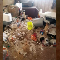 Бишкектик аялдын эки бөлмөлүү үйүнөн беш тонна таштанды чыкты