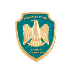 Жарандар тарабынан түшкөн арыздар боюнча 16 салык кызматкерлери жазаланды