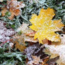Жаан жаап, карга айланат. 24-октябрга карата аба-ырайы