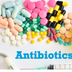 COVID-19ду алдын алууга антибиотиктер пайдасыз