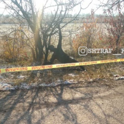 СҮРӨТ - Кара-Жыгачта өрттөлгөн кишинин денеси табылды