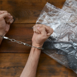 СҮРӨТ - Курал колдонуу менен ээнбаштыкка шектелген кылмыштуу топтун мүчөлөрү кармалды