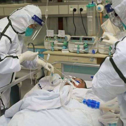 Сутка ичинде Covid-19 илдетинен 535 адам жабыркап, 4 адам каза болу