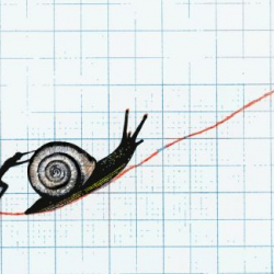 575 миллион сом өлчөмүндөгү акча каражаты  мамлекеттик казынага которулду