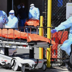 Сутка ичинде өлкө аймагында COVID-19 илдетинин 439 жаңы учуру катталды