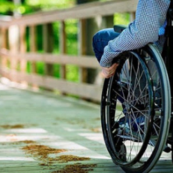 Соцөнүктүрүү министрлиги: Ден соолугунун мүмкүнчүлүгү чектелген 113 жаран жумушка орношту