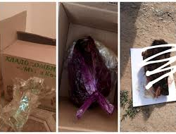 Эркежан Исакова милиция кызматкерлери көңүл кош мамиле жасап жаткандыгына нааразы