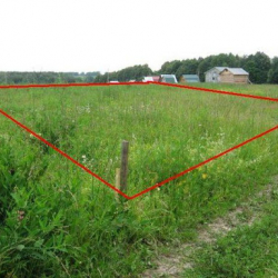 11 миңден ашык жер тилке мыйзамдаштырылат. Жапаров жаңы мыйзамга кол койду