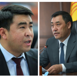 Жанар Акаев президенттикке аттанган Садыр Жапаровдун Ош жана Алай жерлериндеги шайлоо штабдарын жетектейби?