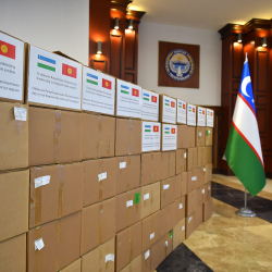 Өзбекстандан Кыргызстанга дагы бир гуманитардык жардам келет