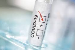 Жылдын аягына сейин COVID-19 каршы вакцина даяр болобу?