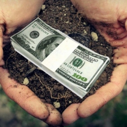 Ош шаарынын мэриясы жер тилкелерин өз баасынан 29 эсе арзан сатып жиберишкен