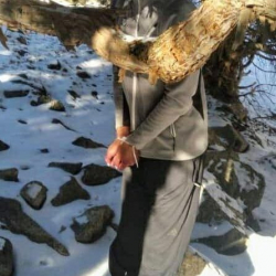 Колу-буту байланып, бакта асылган жарандын ким экендиги аныкталды