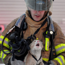 10 айдын ичинде өрт өчүрүү кызматкерлери 5 млн сомго чукул бааланган мүлктү сактап калышкан