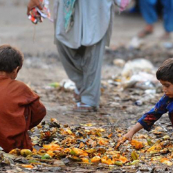 Йеменде 12 миллиондон ашык кичинекей балдардын жашоосу кыл учунда