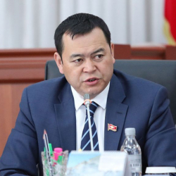 Вице-спикер Бакиров министр Токтогазиевди эмнеге какты?