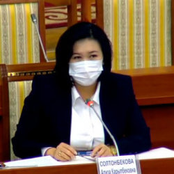 Ализа Солтонбекова министр болуп дайындалды