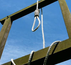 Конституциялык кеңешме өлүм жазасын кайра киргизүү тууралуу сунушту четке какты