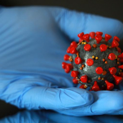 COVID-19: Дүйнөдө вирус жуктургандардын саны 66 миллионго жетти