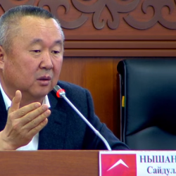 Сайдулла Нышанов: “Өкмөт азык-түлүк коопсуздугуна өзгөчө көңүл буруусу зарыл”