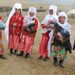 Шерипов: «Конституциялык кеңешмеде этникалык кыргыздар үчүн КР жарандыгын алууну жөнөкөйлөштүрүү сунушталууда»