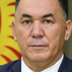 Алмазбек Абытов: Өкмөт «Референдум жөнүндө» мыйзам долбоорун колдойт