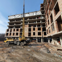 Мамкурулуш жыл башынан бери 566 лицензия берди