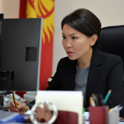 Эльвира Сурабалдиева жеке медициналык мекемелердин COVID-19 илдетин дарылоо алкагындагы ишин талдоого алууну тапшырды