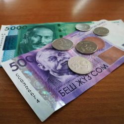 Жыл башынан бери пенсия жана жөлөкпулга 43 млрд сом каржыланды