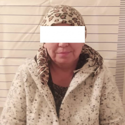 Бир нече алдамчылыкка шектелген аял кармалды