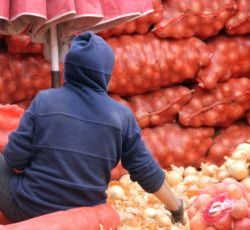 Кыргызстандан Өзбекстанга азык-түлүк сатуучулардын маалымат базасы түзүлөт