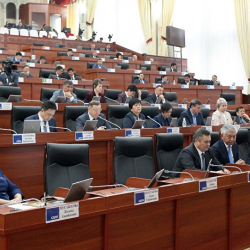 Парламентте 13 жашар кызды зордуктагандарга карата сот чечими боюнча маселе көтөрүлдү