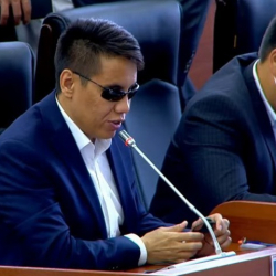 БШК депутат Дастан Бекешевди парламенттик башкаруу формасын үгүттөө тобуна каттаган жок